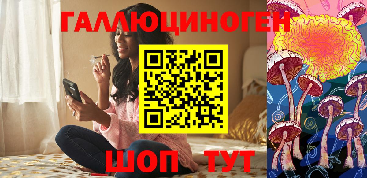 Нововоронеж  Галлюциногенные грибы прущие грибы  Вход с VPN  Галлюциногенные грибы прущие грибы 